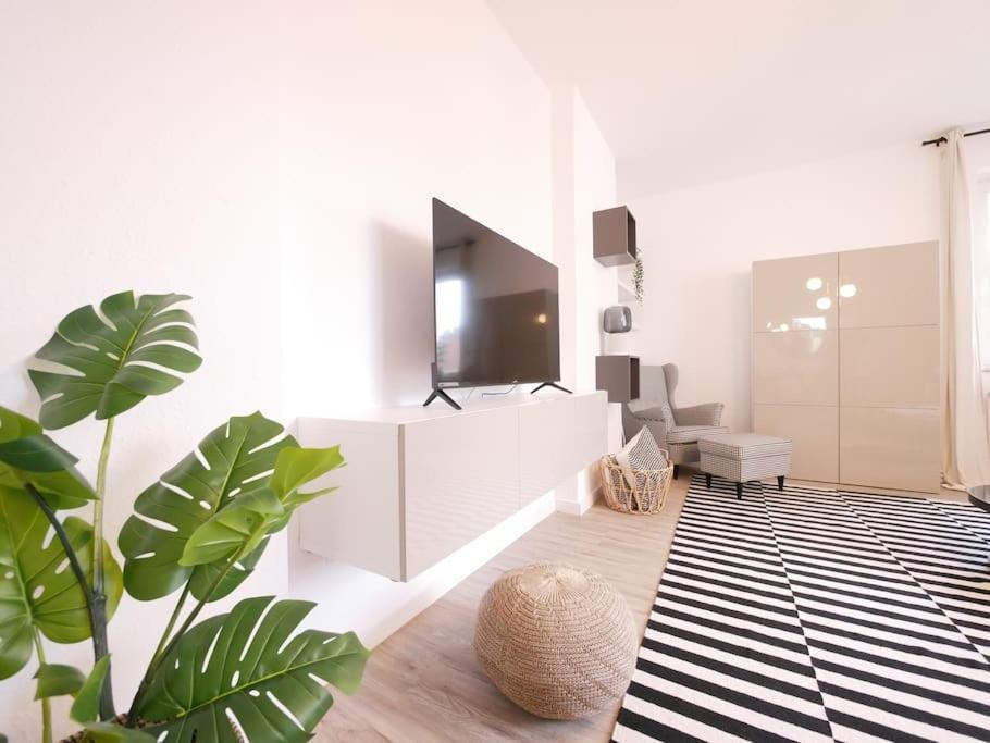 Ferienwohnung 75 M2, Zentral, Gemuetlich, Eigener Parkplatz Osnabrück Exterior foto